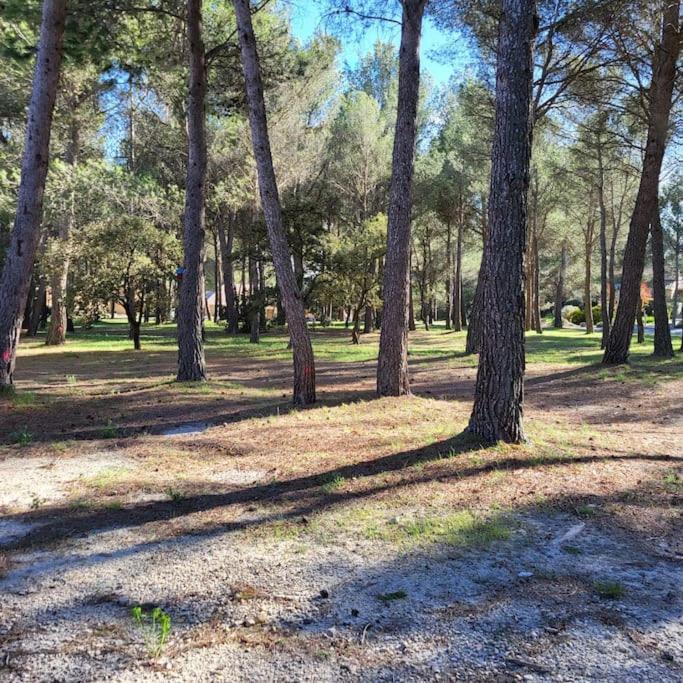 Apartamento La Calade LʼIsle-sur-la-Sorgue Exterior foto